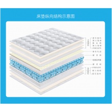 宜眠坊（ESF）床垫 乳胶床垫 席梦思弹簧床垫 乳胶+直筒簧 软硬两用 J09 1.8米*2米*0.22米