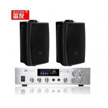 笛友 VCM-100 功放+双30W壁挂音响 组合