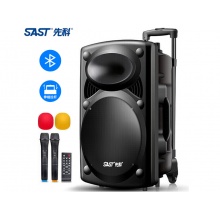 先科（SAST）A90 15英寸大功率重低音广场舞音响