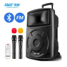 先科（SAST）A90 15英寸大功率重低音移动户外蓝牙拉杆音箱 