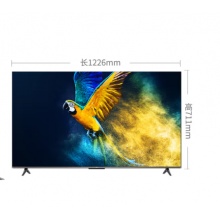 TCL 55V 2+16GB 55寸4K大屏